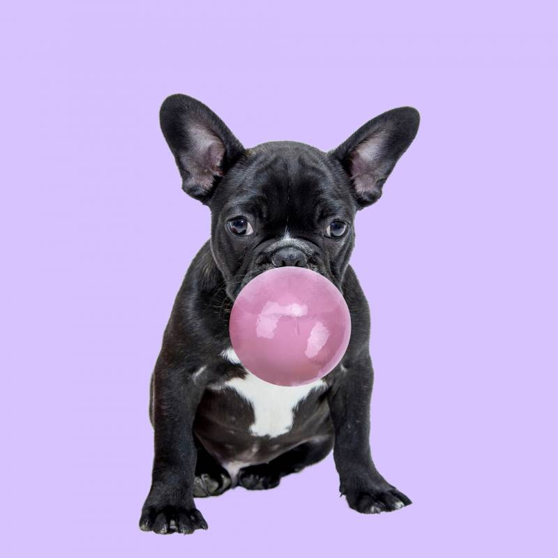 Kortárs művészet 23