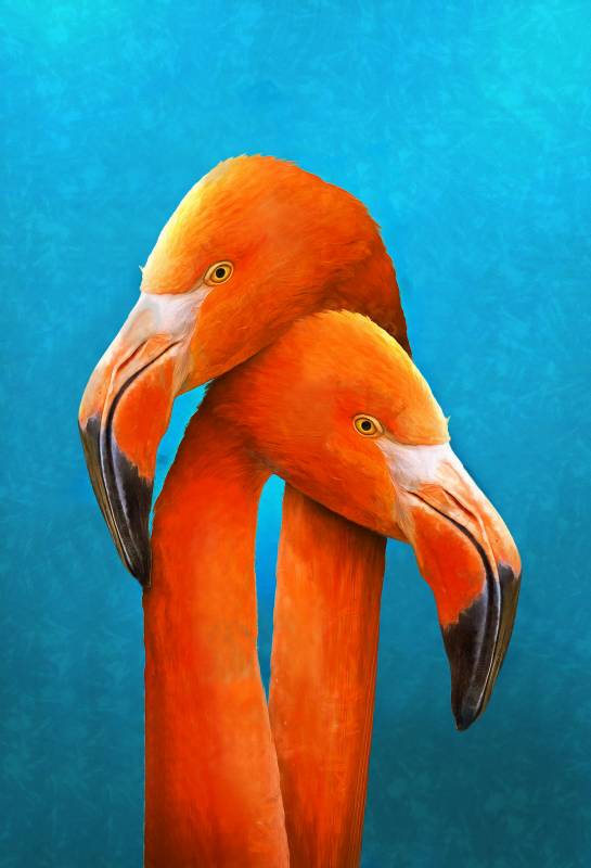 Kortárs művészet 33