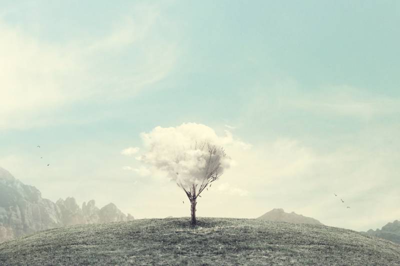 Szürrealista művészet 02